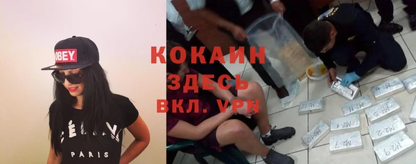 твердый Михайлов