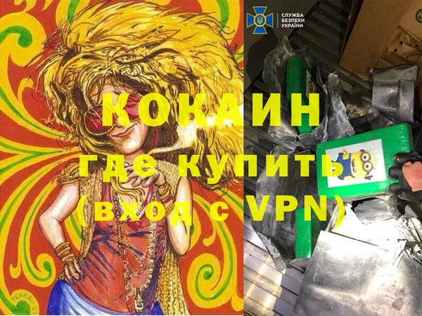 твердый Михайлов