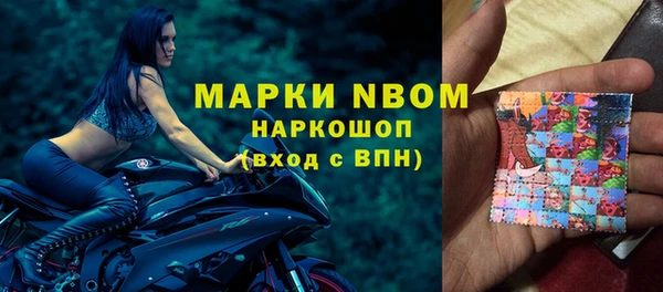 твердый Михайлов