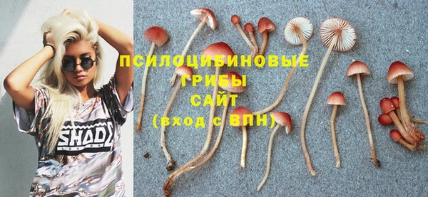 альфа пвп Михайловск