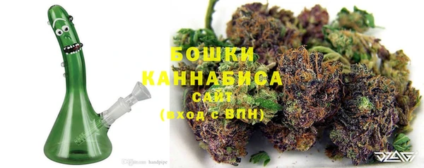 твердый Михайлов
