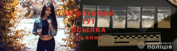 твердый Михайлов