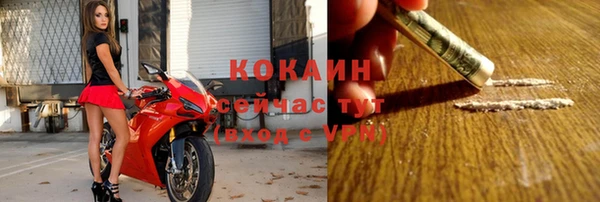 твердый Михайлов